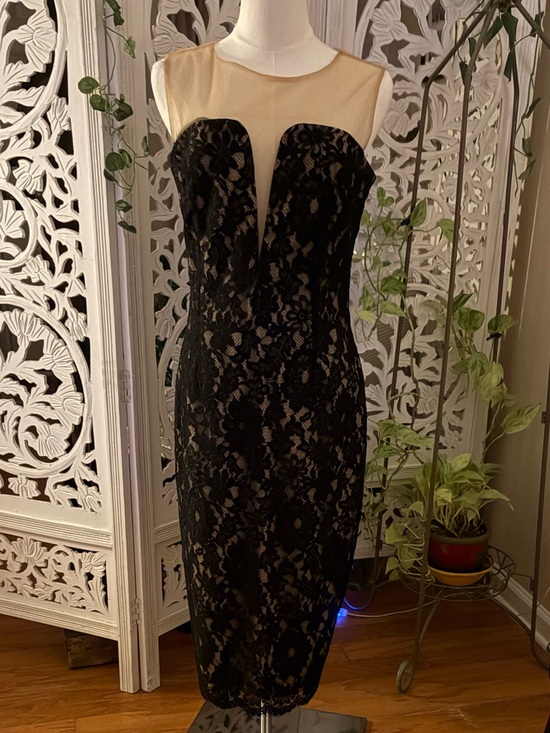 Bailey/44 Dresses & Skirts - Bailey/44 Elegant Black Lace Sheath Dress with Nude Illusion Bodice